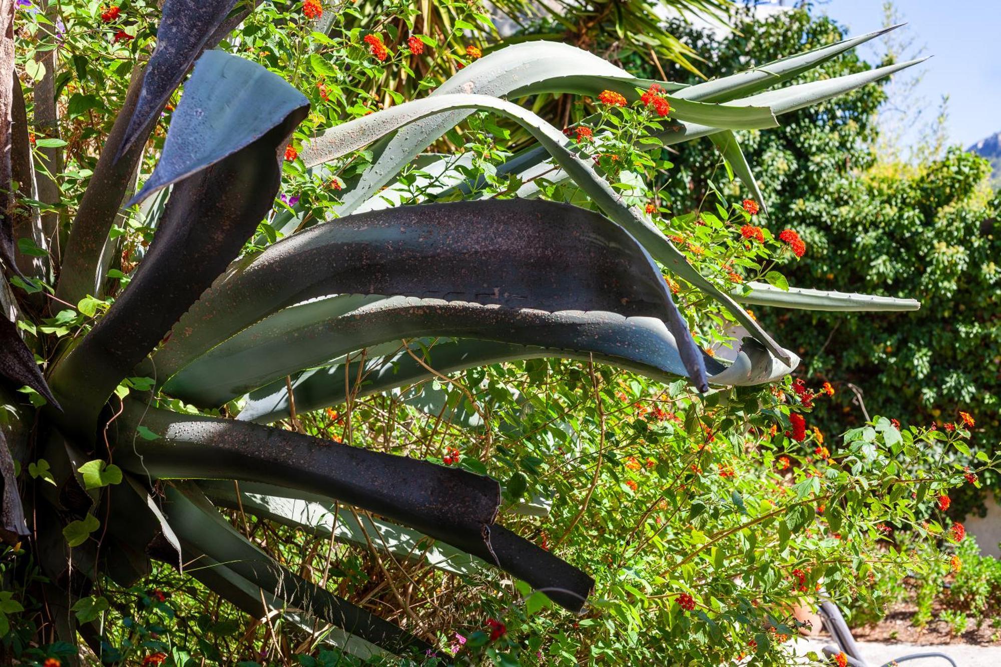 Somptueux Appartement Avec Jardin Cassis Esterno foto